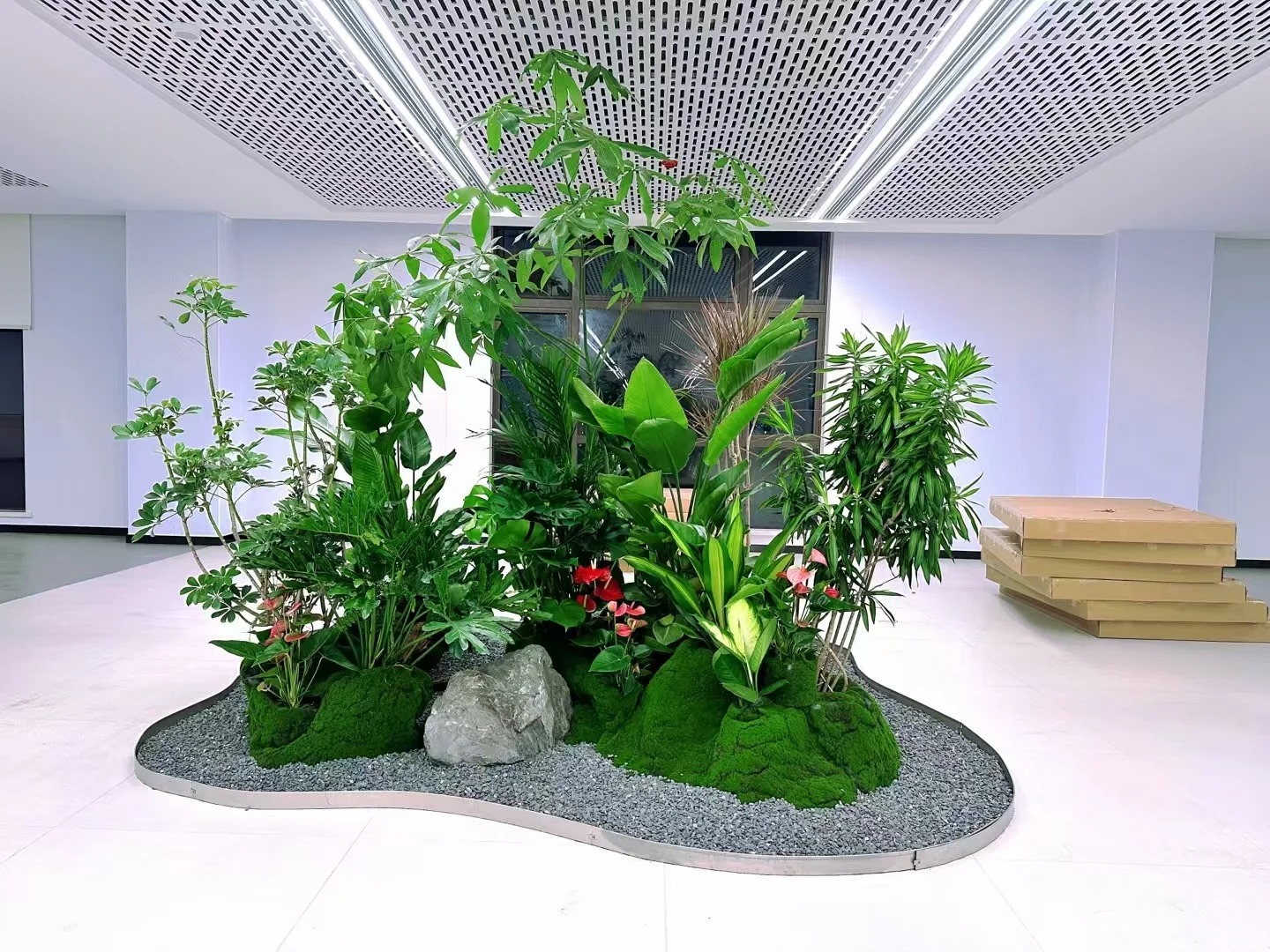 专业北仑植物租摆，为您的环境增添别样生机