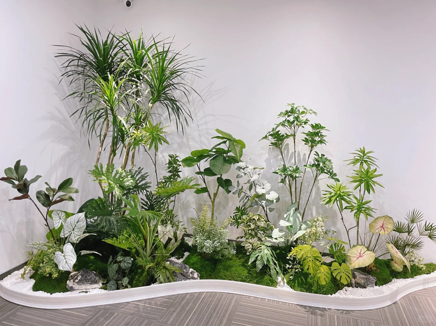 专业北仑植物租摆，为您的环境增添别样生机